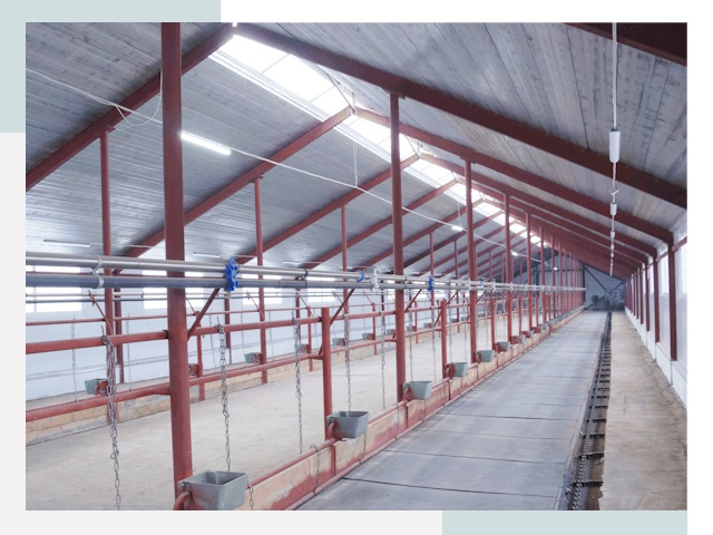 Строительство коровников в Канаше от 616 руб.