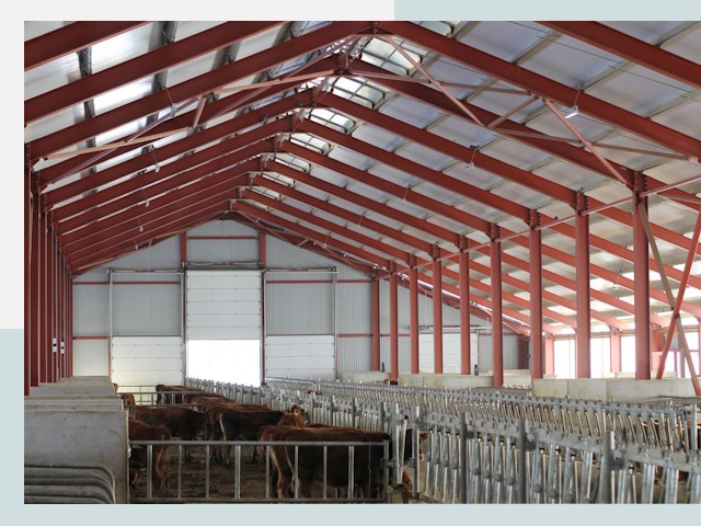 Строительство коровников в Канаше