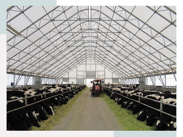 Тентовые коровники в Канаше от 616 руб. - Надежно и доступно