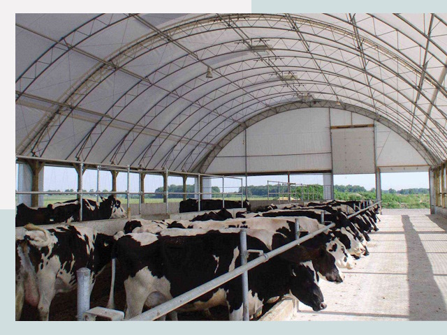 Тентовые коровники в Канаше